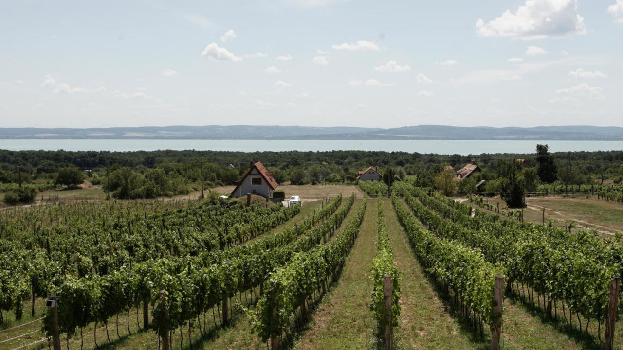 Fuerjes Udvarhaz Vaszoly ภายนอก รูปภาพ